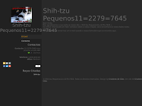 Canil shih-tzu pequenos11=2279=7645