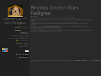 Canil Filhotes golden com pedigree