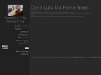 Canil Canil Lulu da Pomernea