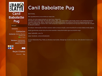 Canil CANIL BABOLATTE PUG