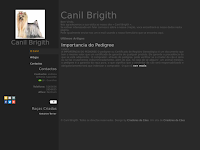 Canil Canil Brigith