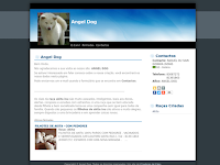 Canil ANGEL DOG