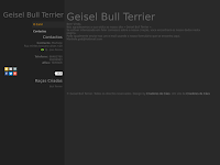 Canil GEISEL BULL TERRIER