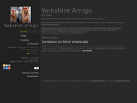 Canil yorkshire amigo