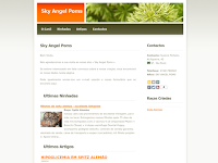 Canil SKY ANGEL POMS