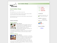 Canil Canil Golden Sheep