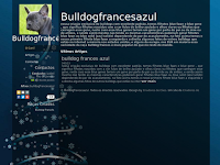Canil bulldogfrancesazul