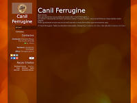 Canil canil ferrugine