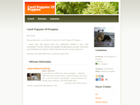Canil Canil Puppies of Puppies