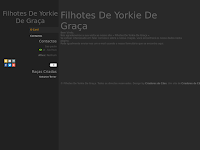 Canil filhotes de Yorkie de graa