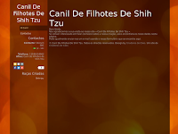 Canil Canil de Filhotes de Shih Tzu