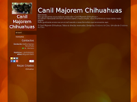 Canil Canil Majorem Chihuahuas