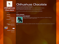 Canil Chihuahuas Chocolate