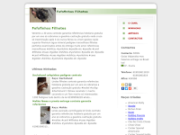 Canil Fofofinhos filhotes