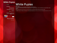 Canil White Pupies